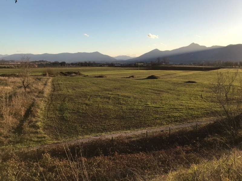 Terreno a Ferentino - Foto 5