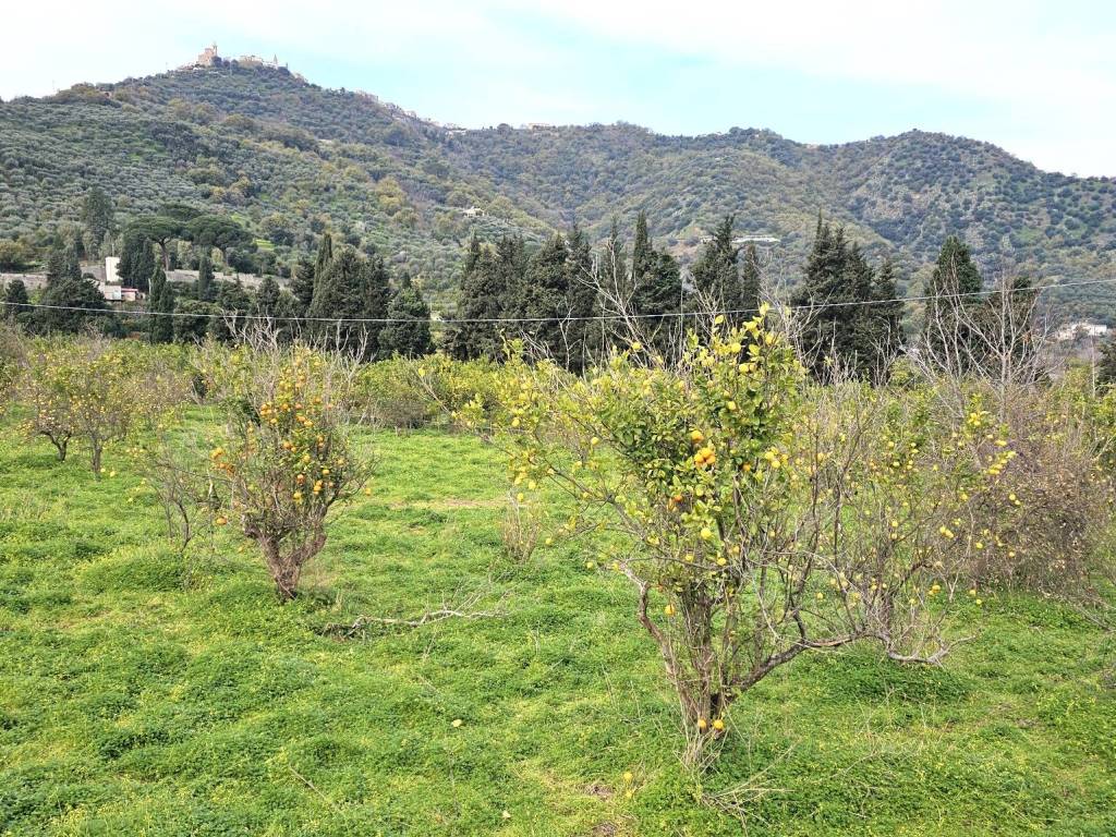 Terreno a Naso in Contrada Fiumara - Foto 2