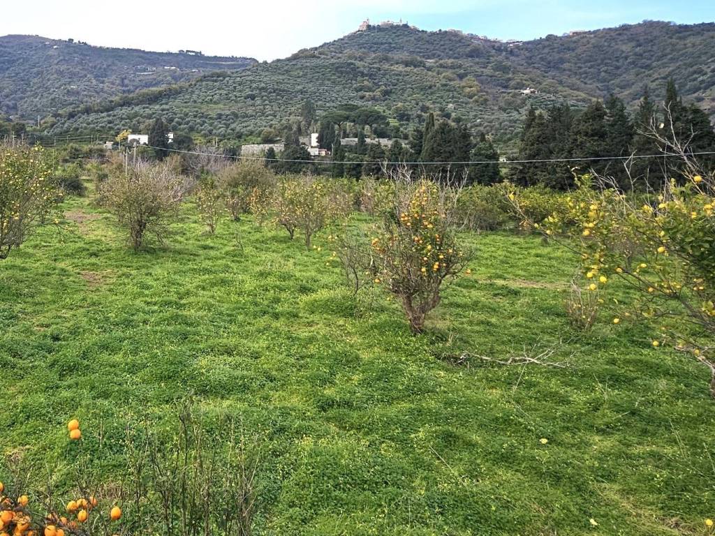 Terreno a Naso in Contrada Fiumara - Foto 3