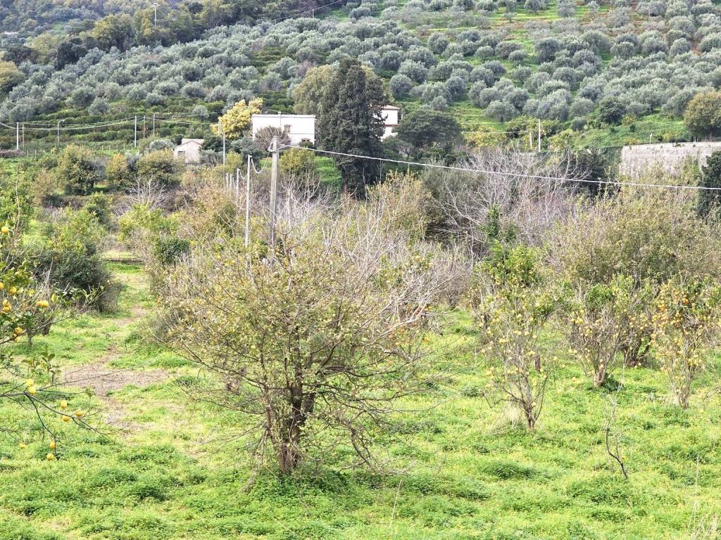 Terreno a Naso in Contrada Fiumara - Foto 4