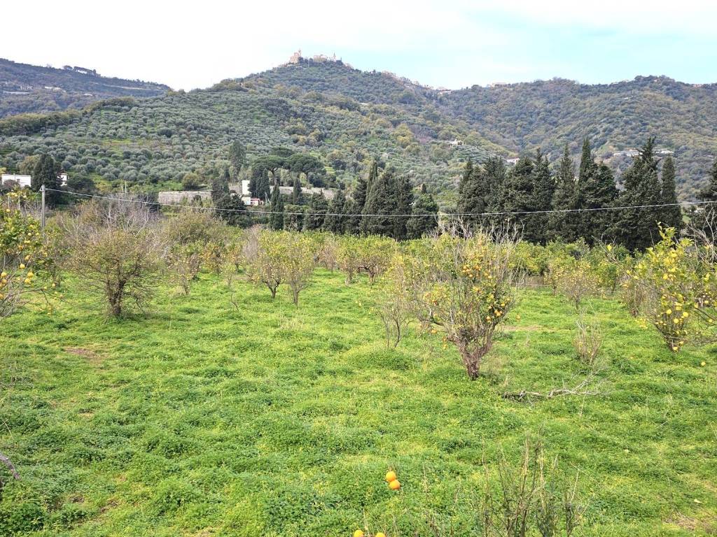 Terreno a Naso in Contrada Fiumara - Foto 5