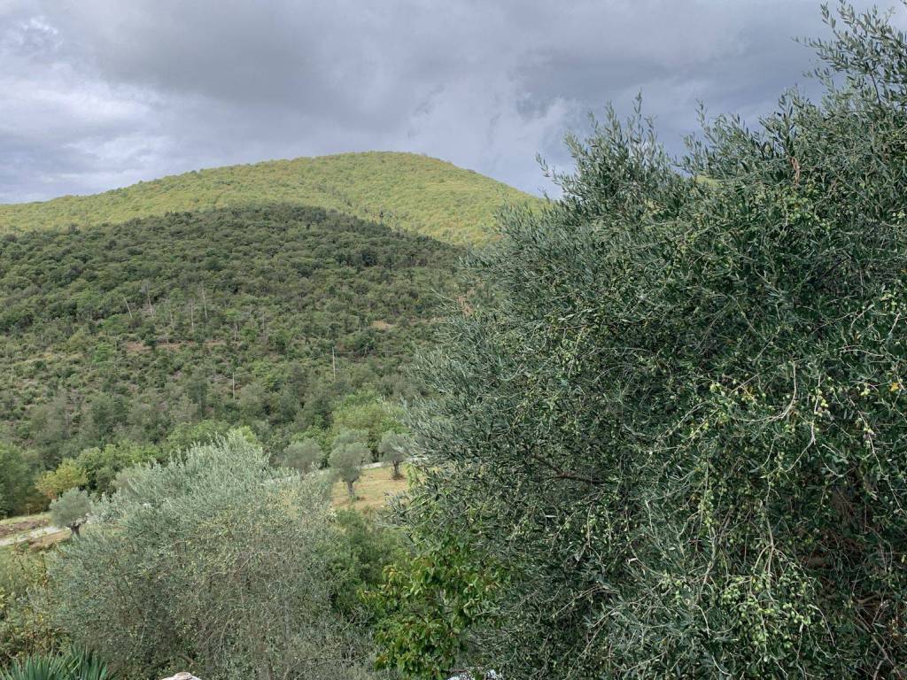Villa a Tuoro sul trasimeno - Foto 4