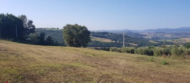 Terreno a Todi in t - Foto 2