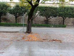 Immobile a Foligno - Foto 5