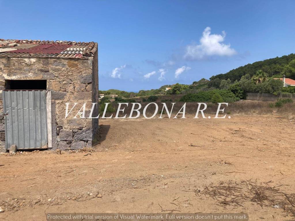 Rustico / casale a Carloforte in Località Guardia dei Mori - Foto 2
