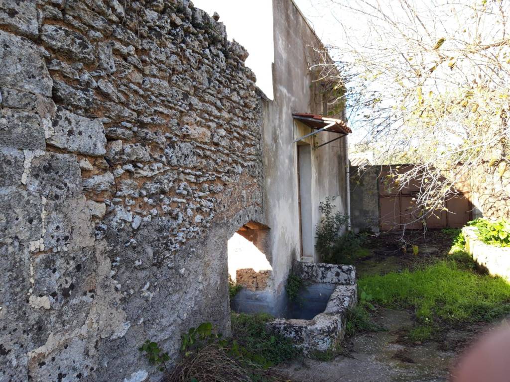 Terreno a Montesano salentino in Strada Comunale per Montesano - Foto 3