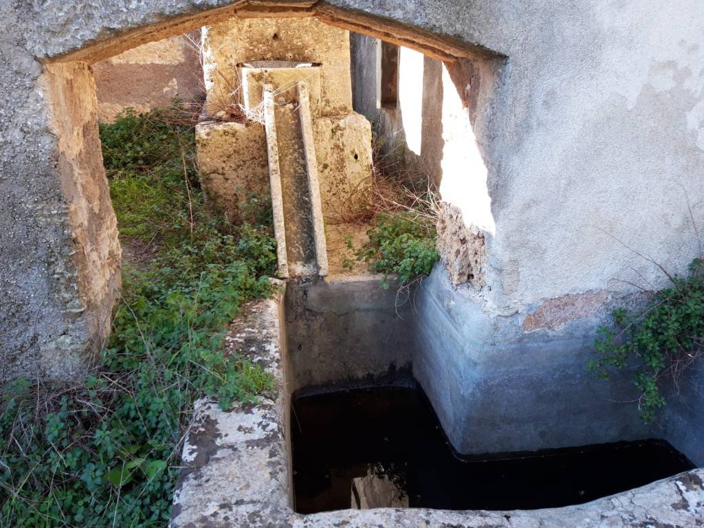 Terreno a Montesano salentino in Strada Comunale per Montesano - Foto 4