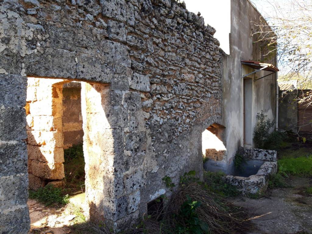 Terreno a Montesano salentino in Strada Comunale per Montesano - Foto 5