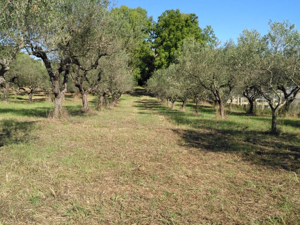 Terreno a Penne in Via Nicola Monti - Foto 2