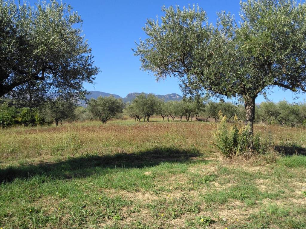 Terreno a Penne in Via Nicola Monti - Foto 3