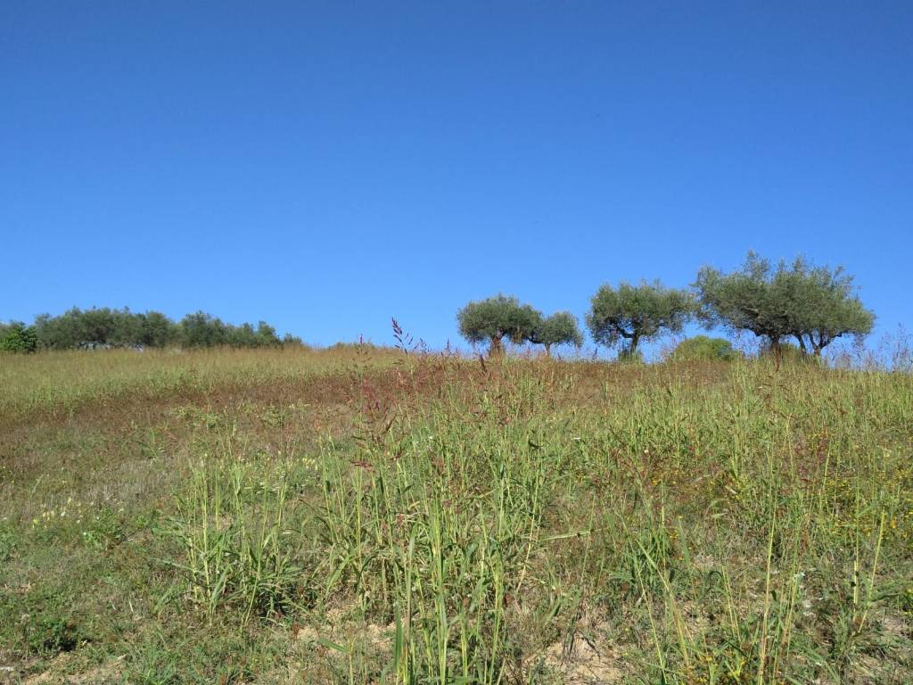 Terreno a Penne in Via Nicola Monti - Foto 4