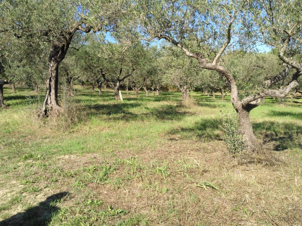 Terreno a Penne in Via Nicola Monti - Foto 5