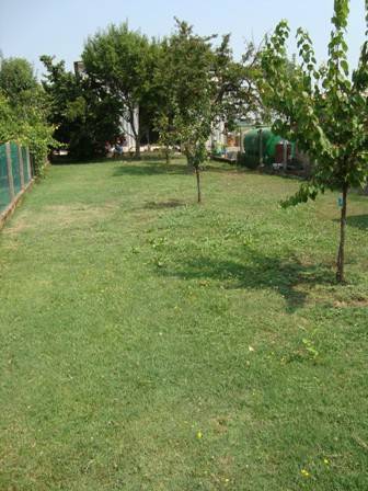 Villa a San benedetto po - Foto 4