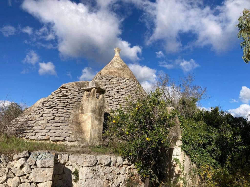 Rustico / casale a Ceglie messapica in CONTRADA GIOVANNELLO - Foto 3