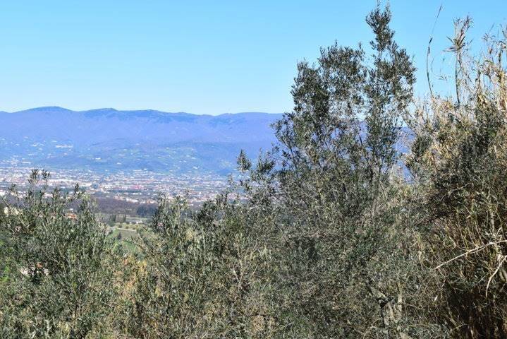 Rustico / casale a Quarrata - Foto 2