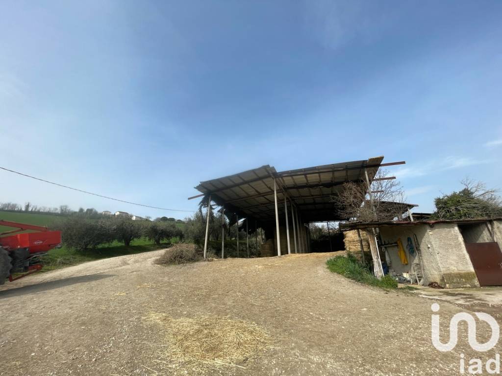 Rustico / casale a Monte san pietrangeli in LocalitÃ CONTRADA PESCARA VALLE, 13 - Foto 4