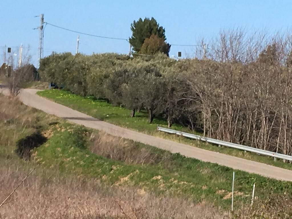 Terreno a Vasto in Strada Provinciale San Lorenzo - Foto 3