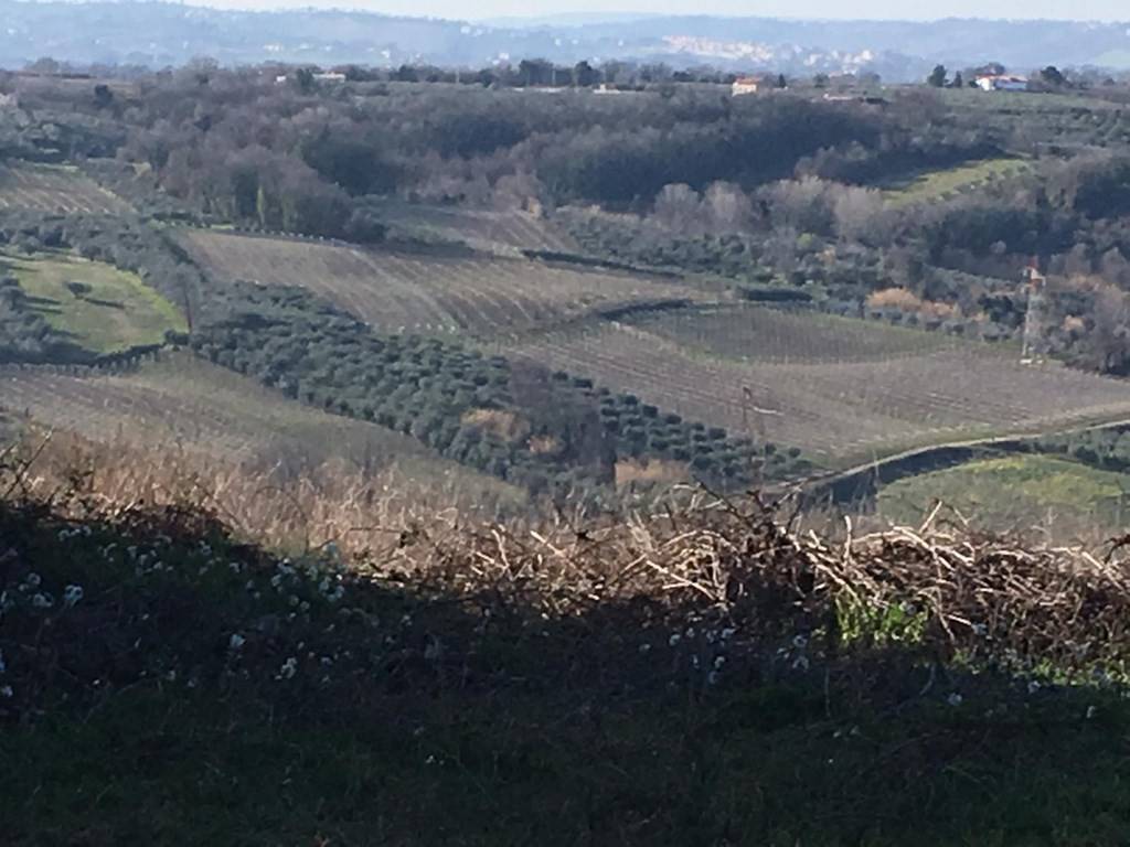 Terreno a Vasto in Strada Provinciale San Lorenzo - Foto 5