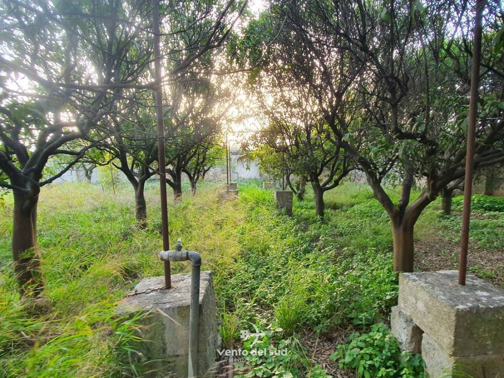Villa a Carmiano in Strada Comunale Dodicesemi Tomoli s.n.c - Foto 2