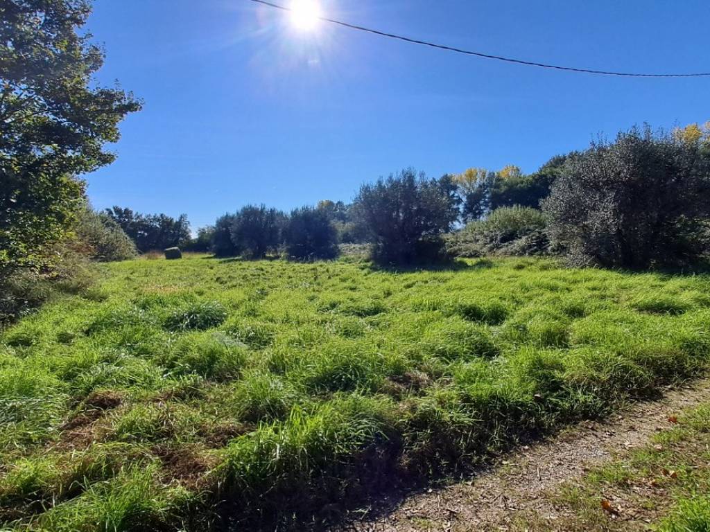 Terreno a Tuoro sul trasimeno - Foto 2
