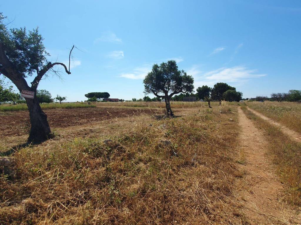 Terreno a Nardò in Via DEGLI ANGIOLINI, 1 - Foto 2