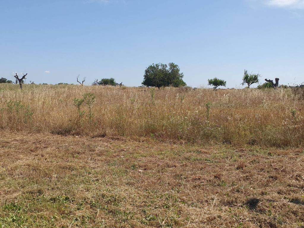 Terreno a Nardò in Via DEGLI ANGIOLINI, 1 - Foto 3