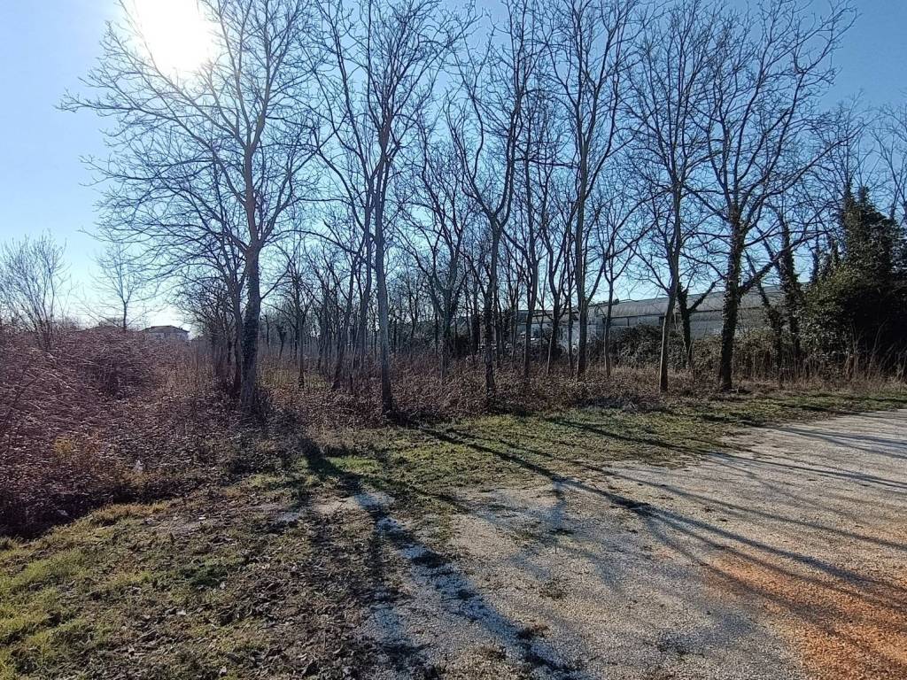 Terreno a Cervignano del friuli in Via Caiu', 32 - Foto 2