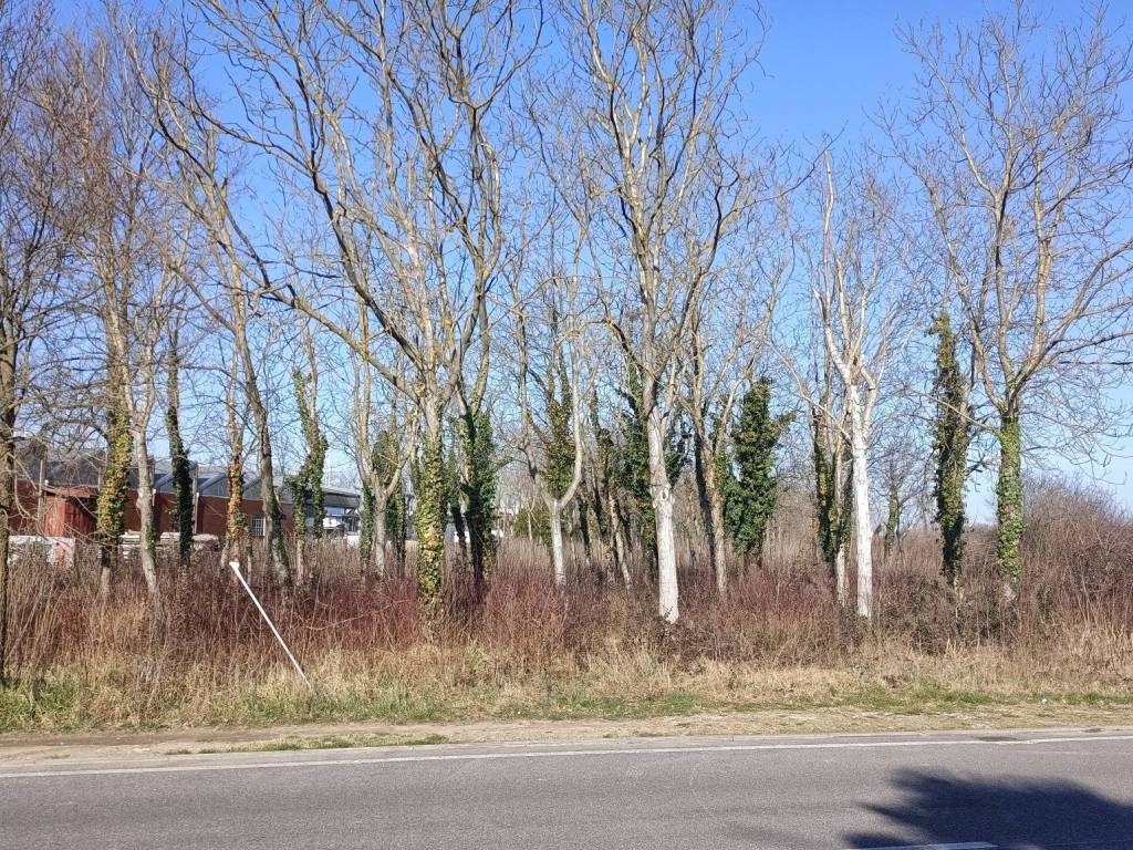 Terreno a Cervignano del friuli in Via Caiu', 32 - Foto 4