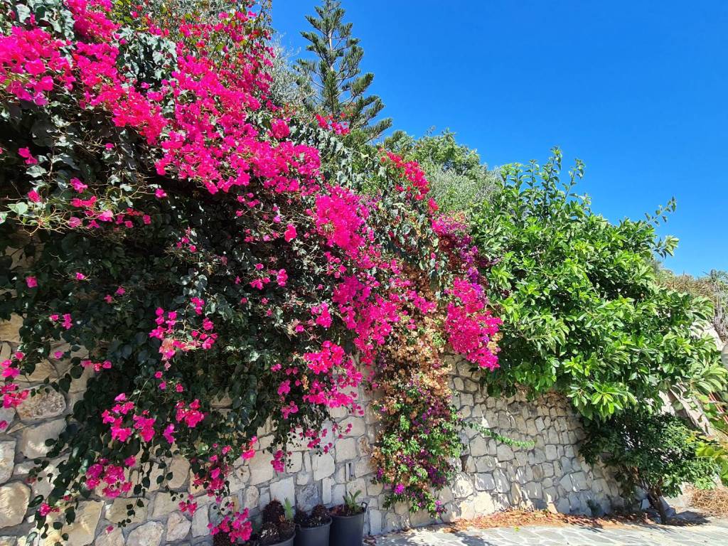 Villa a Ventimiglia in Corso Montecarlo - Foto 2