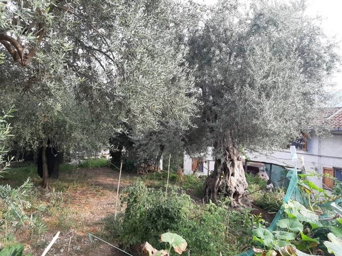 Appartamento a Torchiara in Via San Bernardino - Foto 2