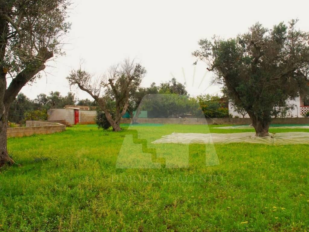 Terreno a Gagliano del capo in Strada Vicinale Paduli - Foto 3