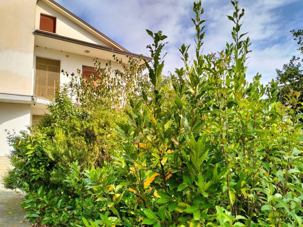 Villa a Colfelice in Via del Soldato - Foto 4