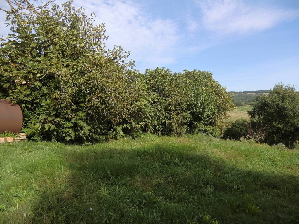 Terreno a Todi in Cacciano - Foto 5