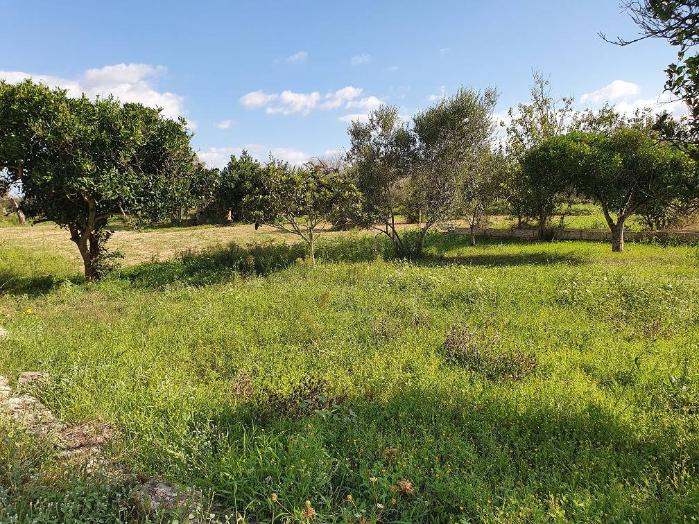 Terreno a Parabita in Strada Vicinale Gualtieri o Tammati - Foto 2