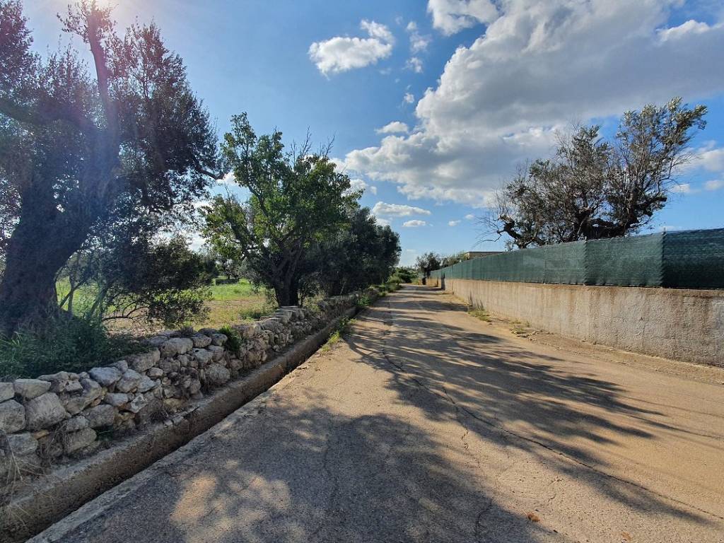 Terreno a Parabita in Strada Vicinale Gualtieri o Tammati - Foto 4