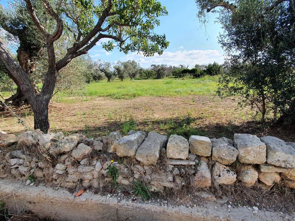 Terreno a Parabita in Strada Vicinale Gualtieri o Tammati - Foto 5