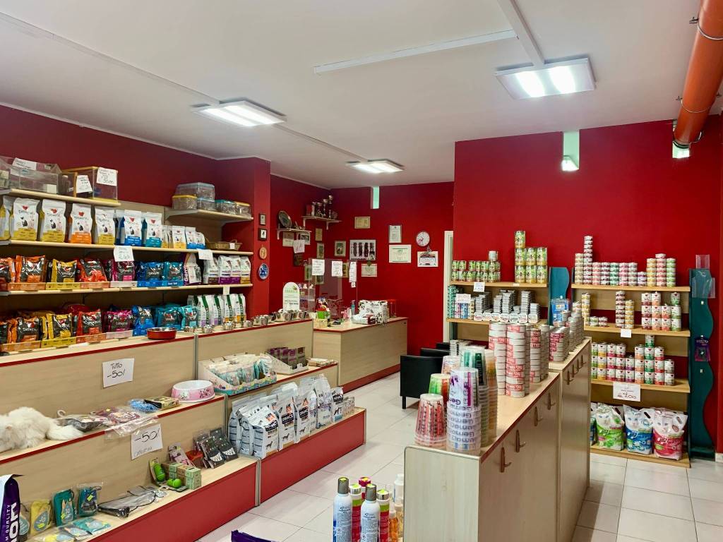 Immobile a Bastia umbra in Via Bastiola - Foto 4