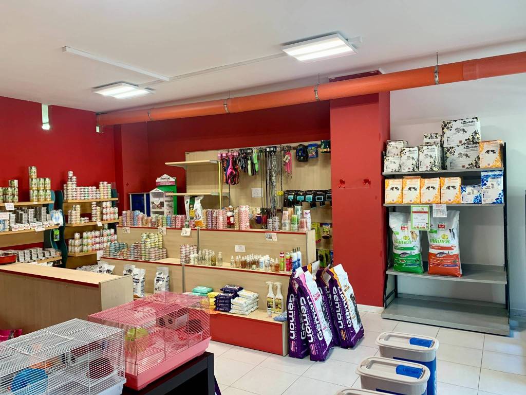 Immobile a Bastia umbra in Via Bastiola - Foto 5