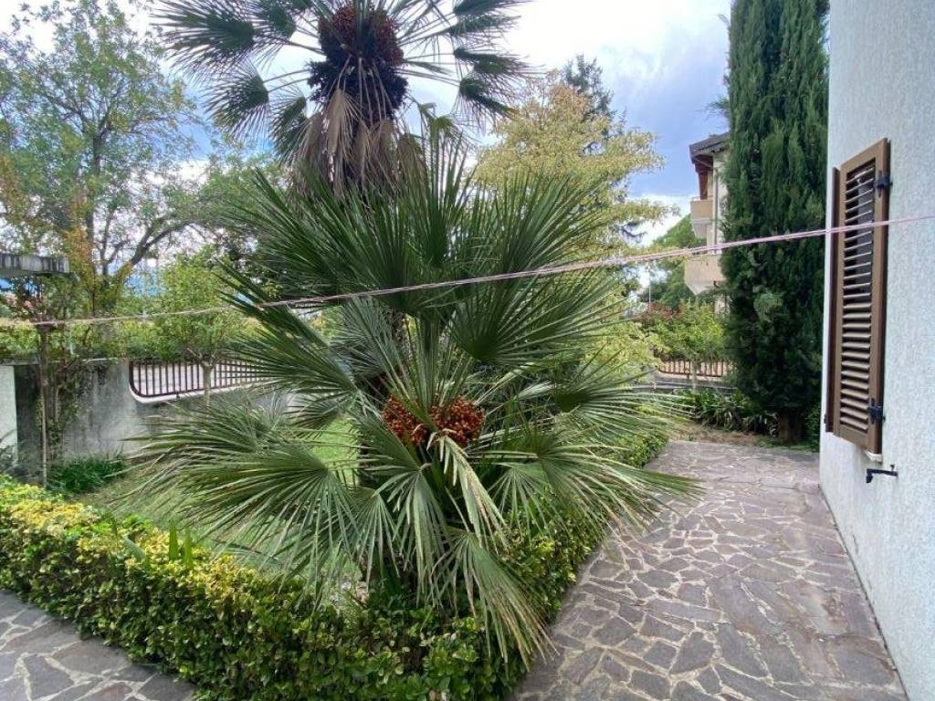 Villa a Cepagatti in Via Sibilla Aleramo, 4 - Foto 2