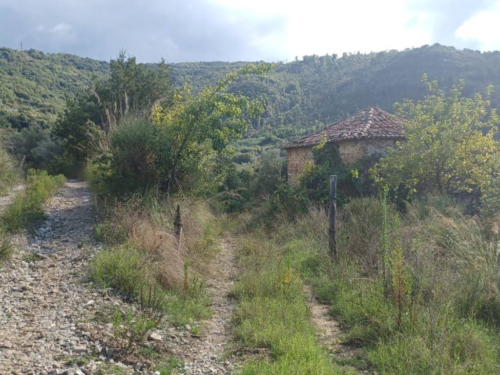 Terreno a Torchiara in SP86 - Foto 4