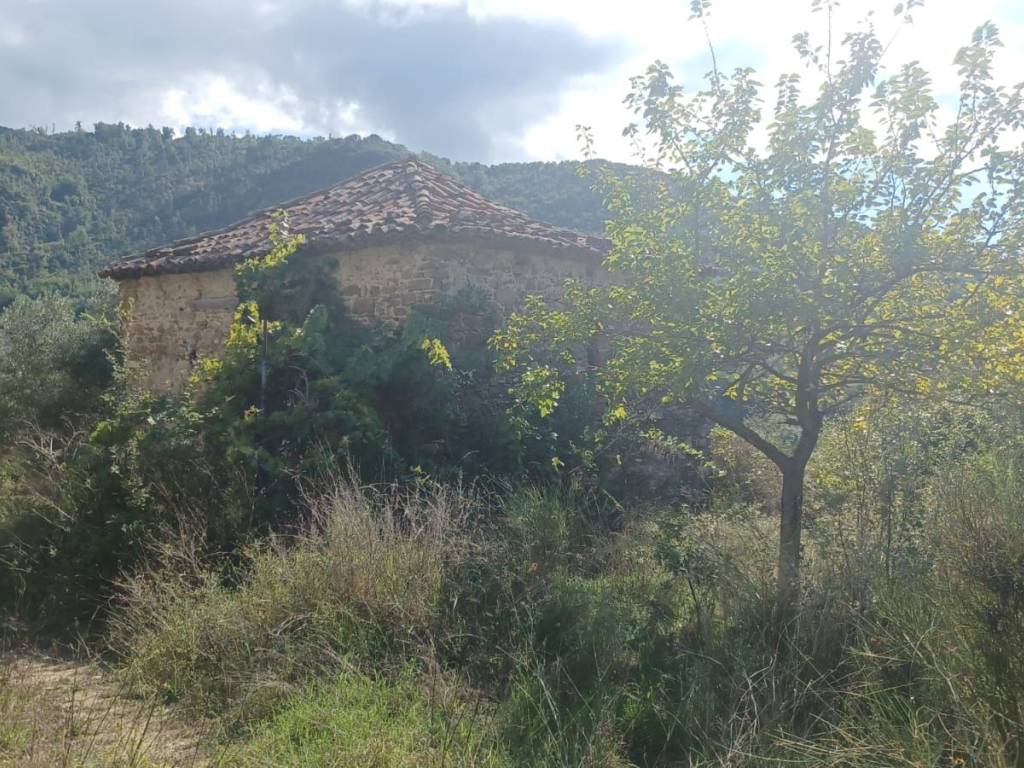 Terreno a Torchiara in SP86 - Foto 5