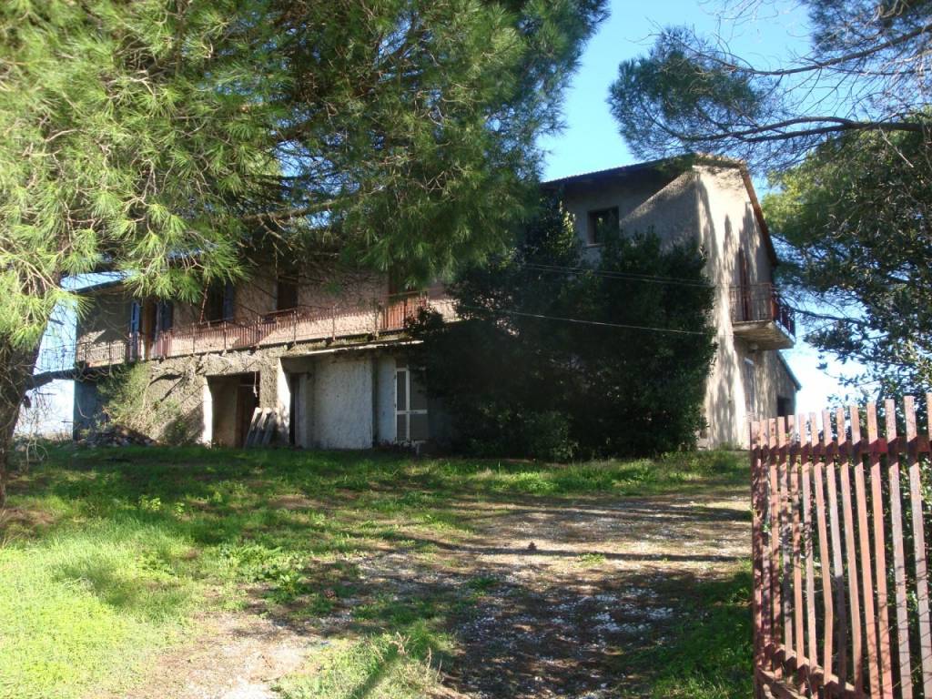 Rustico / casale a Bibbona - Foto 2