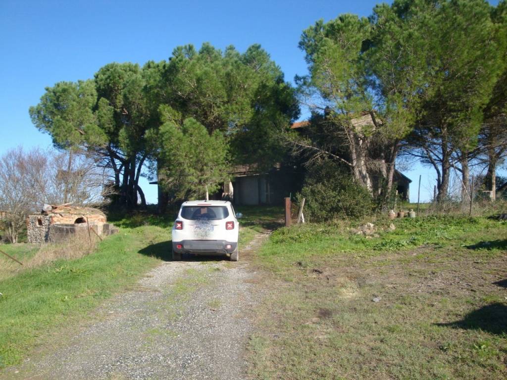 Rustico / casale a Bibbona - Foto 3