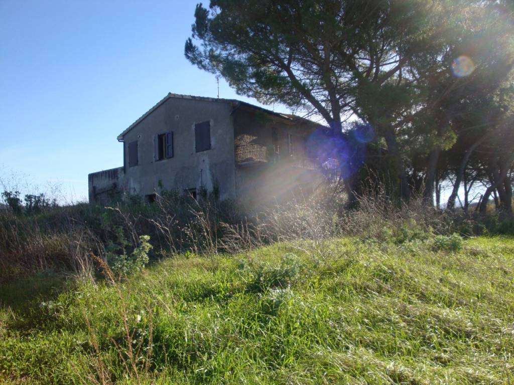 Rustico / casale a Bibbona - Foto 4