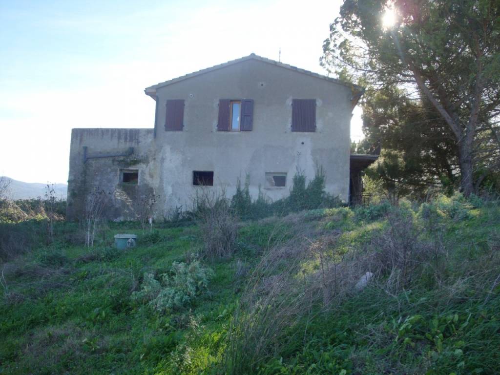 Rustico / casale a Bibbona - Foto 5