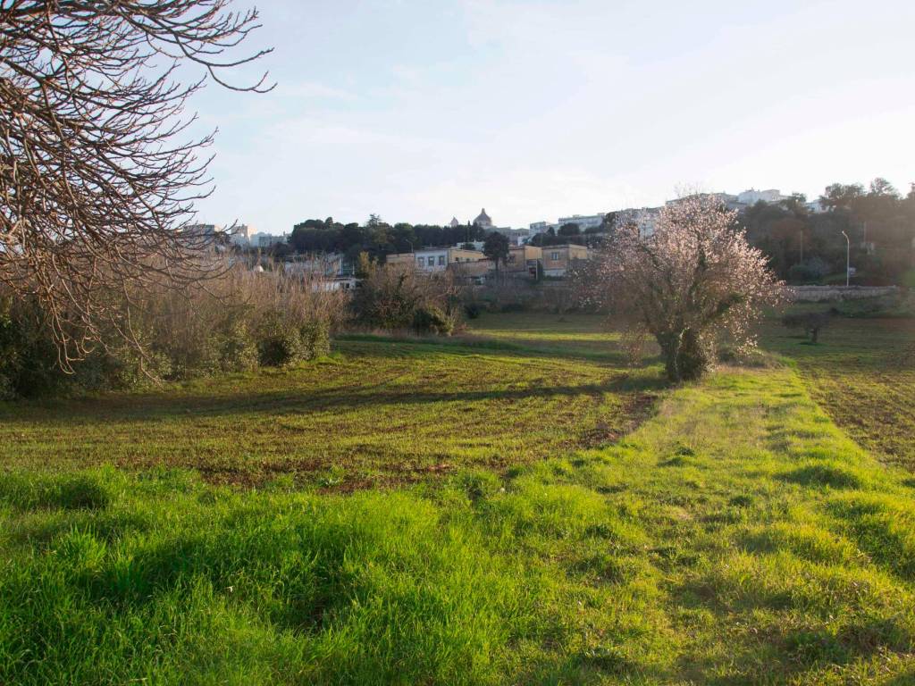 Rustico / casale a Martina franca in Via Giacomo Puccini - Foto 2