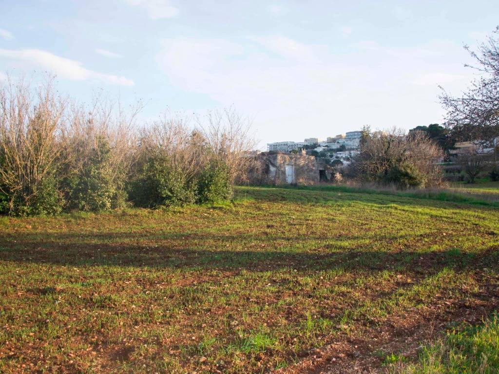 Rustico / casale a Martina franca in Via Giacomo Puccini - Foto 3