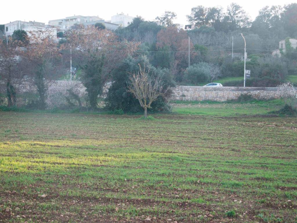 Rustico / casale a Martina franca in Via Giacomo Puccini - Foto 5