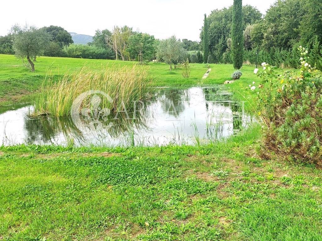 Terreno a Grosseto in strada dei laghi - Foto 3