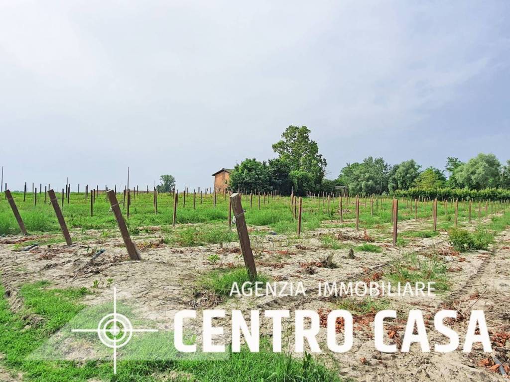 Terreno a Imola - Foto 2